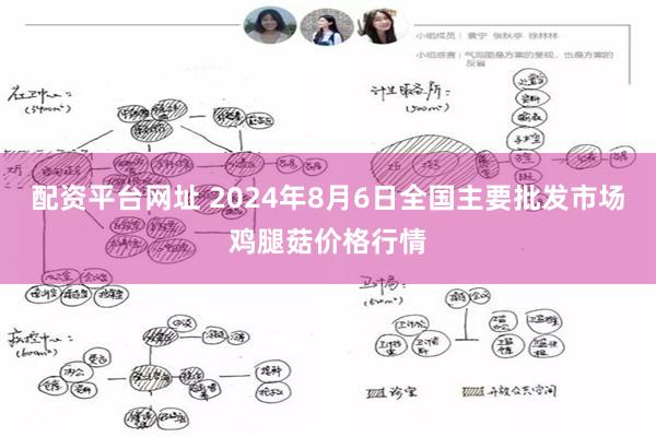 配资平台网址 2024年8月6日全国主要批发市场鸡腿菇价格行情