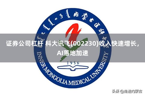 证券公司杠杆 科大讯飞(002230)收入快速增长，AI落地加速