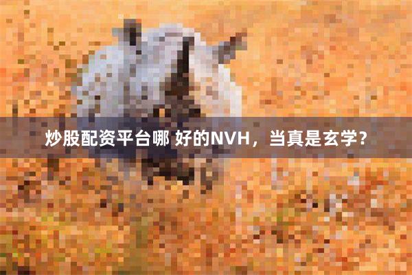 炒股配资平台哪 好的NVH，当真是玄学？