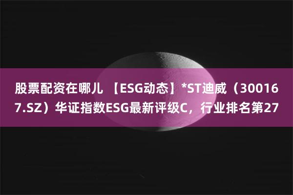 股票配资在哪儿 【ESG动态】*ST迪威（300167.SZ）华证指数ESG最新评级C，行业排名第27