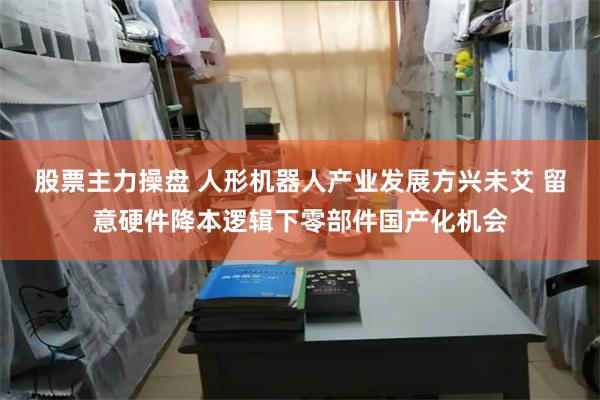 股票主力操盘 人形机器人产业发展方兴未艾 留意硬件降本逻辑下零部件国产化机会