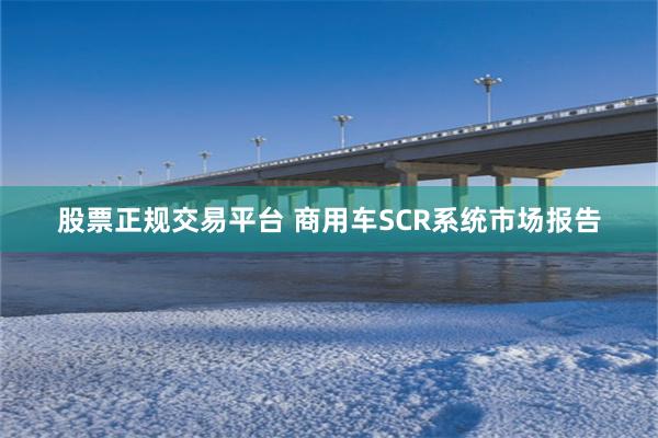 股票正规交易平台 商用车SCR系统市场报告