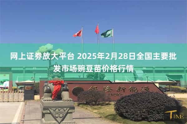 网上证劵放大平台 2025年2月28日全国主要批发市场豌豆苗价格行情