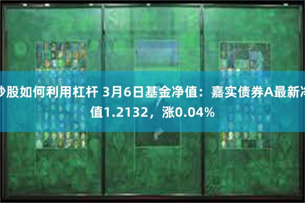 炒股如何利用杠杆 3月6日基金净值：嘉实债券A最新净值1.2132，涨0.04%